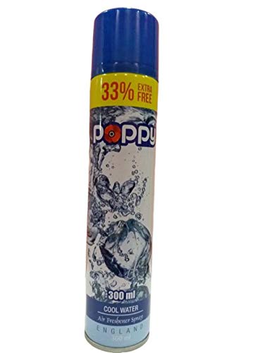 Room Fresheners for Lasting Freshness