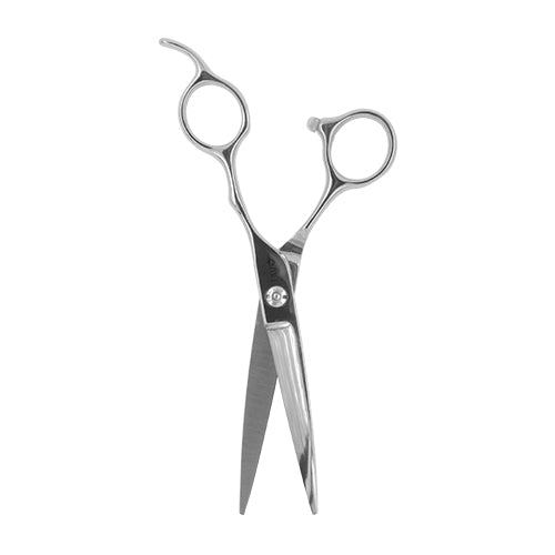 Professional Cutting Scissors -6.0 - 1