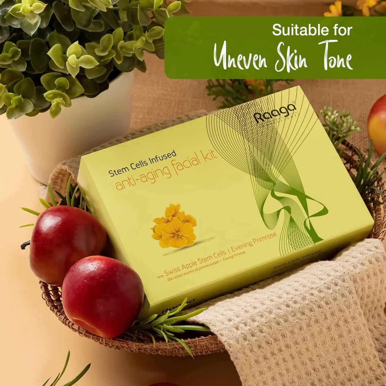 Raaga Professional Anti-Aging Stem Cells Facial Kit – 6 Step Complete Skincare with Evening Primrose & Swiss Apple Stem Cells | Restores Youthful Radiance – 61 gm - 1